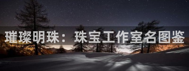 新宝5是谁：璀璨明珠：珠宝工作室名图鉴