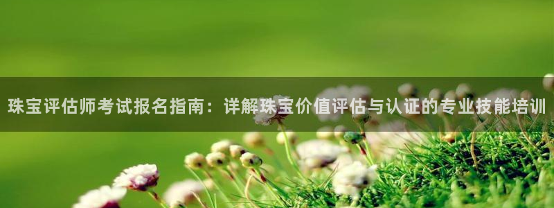 新宝5娱乐同：珠宝评估师考试报名指南：详解珠宝价值评估与认证的专业技能培训