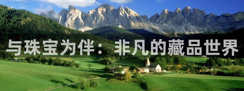 新宝5娱乐平台：与珠宝为伴：非凡的藏品世界