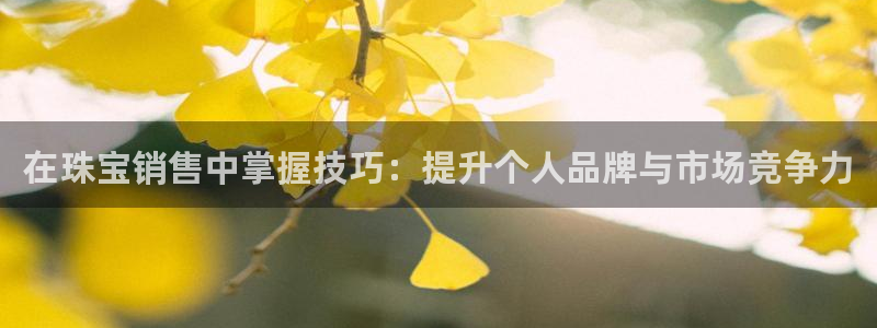 新宝5平台霸：在珠宝销售中掌握技巧：提升个人品牌与市场竞争力