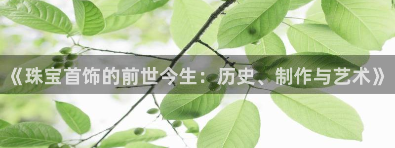 新宝5-：《珠宝首饰的前世今生：历史、制作与艺术》