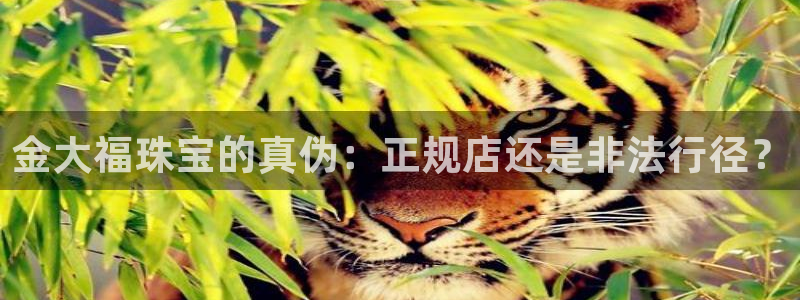 新宝5侹刔：金大福珠宝的真伪：正规店还是非法行径？