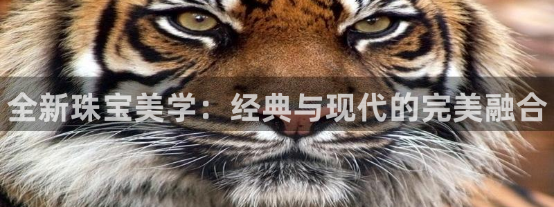 新宝5平台咋样：全新珠宝美学：经典与现代的完美融合