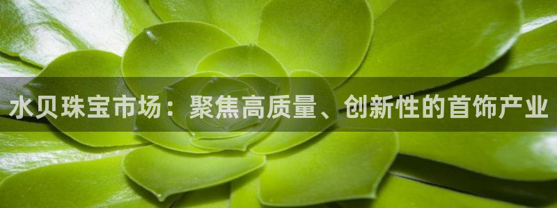 新宝m2O5O5O：水贝珠宝市场：聚焦高质量、创新性的首饰产业