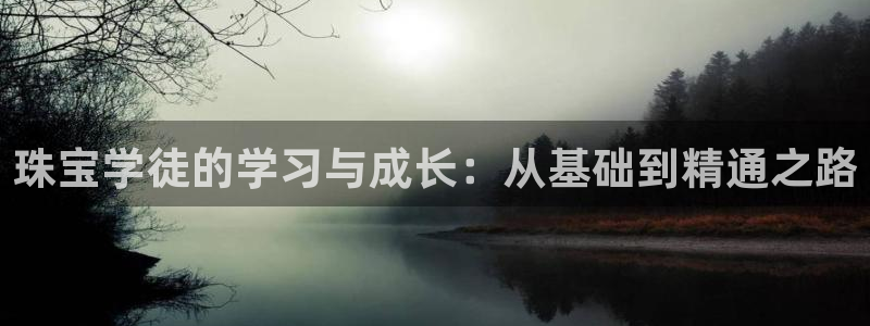 新宝5平台注册资金：珠宝学徒的学习与成长：从基础到精通之路