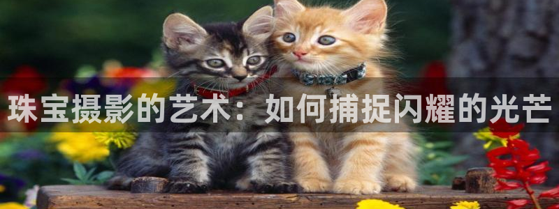 新宝5测试：珠宝摄影的艺术：如何捕捉闪耀的光芒