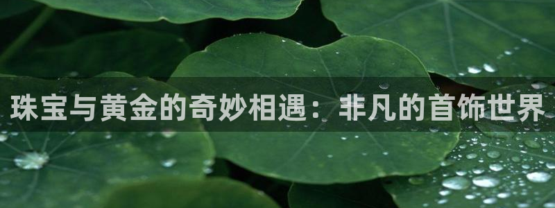 新宝5户端：珠宝与黄金的奇妙相遇：非凡的首饰世界