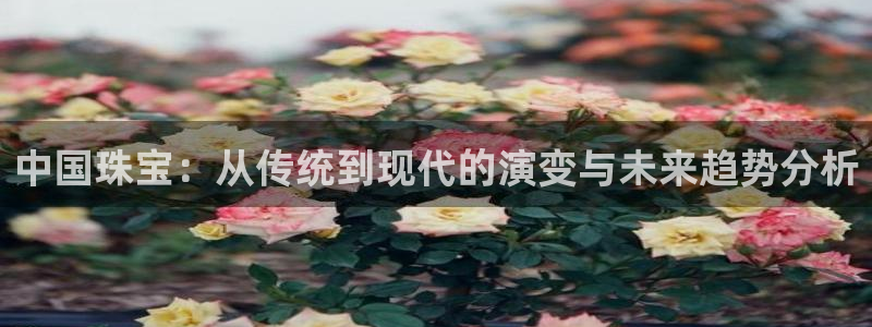 新宝5官方网站：中国珠宝：从传统到现代的演变与未来趋势分析