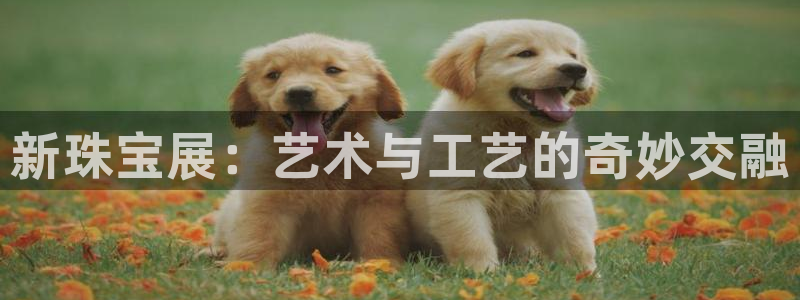 新宝5王问74OOO5：新珠宝展：艺术与工艺的奇妙交融
