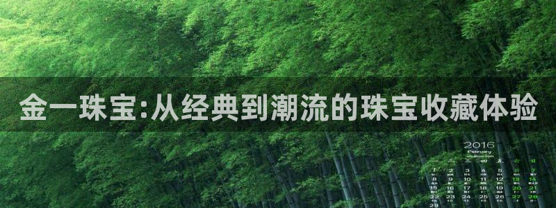 新宝5周74OOO5：金一珠宝:从经典到潮流的珠宝收藏体验