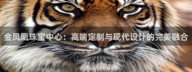 新宝5测速在线：金凤凰珠宝中心：高端定制与现代设计的完美融合