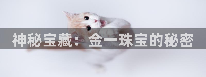 新宝5-测速：神秘宝藏：金一珠宝的秘密