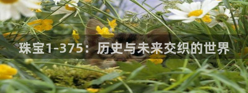 新宝5开户：珠宝1-375：历史与未来交织的世界