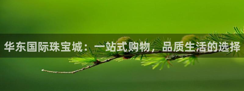 新宝5平台登录注册：华东国际珠宝城：一站式购物，品质生活的选择