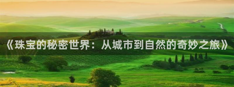 新宝5招商部：《珠宝的秘密世界：从城市到自然的奇妙之旅》