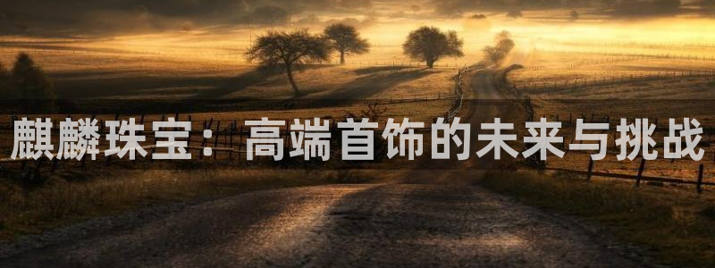 新宝5电脑：麒麟珠宝：高端首饰的未来与挑战