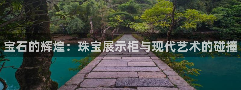 新宝5巅峰：宝石的辉煌：珠宝展示柜与现代艺术的碰撞