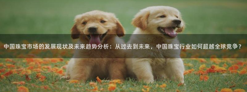 新宝5账号注册：中国珠宝市场的发展现状及未来趋势分析：从过去到未来，中国珠宝行业