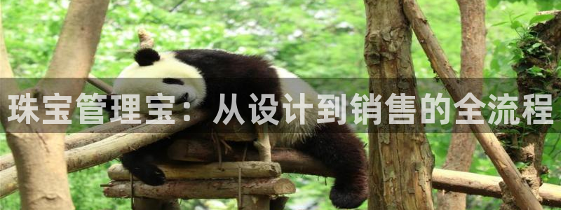 新宝5为啥开：珠宝管理宝：从设计到销售的全流程