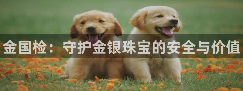新宝5测试：金国检：守护金银珠宝的安全与价值
