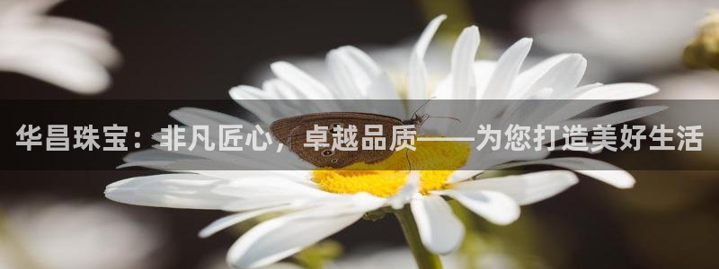 新宝5测速登陆：华昌珠宝：非凡匠心，卓越品质——为您打造美好生活
