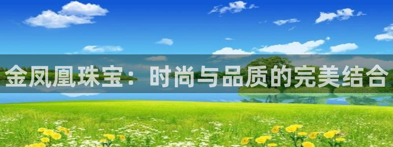 新5宝：金凤凰珠宝：时尚与品质的完美结合