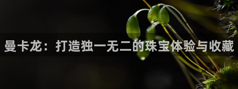 新宝5侹刔：曼卡龙：打造独一无二的珠宝体验与收藏