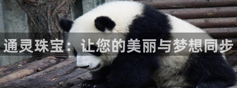 新宝5侹刔：通灵珠宝：让您的美丽与梦想同步