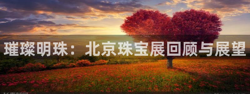 新宝5褚32OO59：璀璨明珠：北京珠宝展回顾与展望